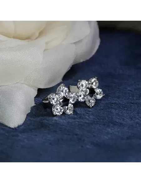 Náušnice La Diamantina Flora se zirokny