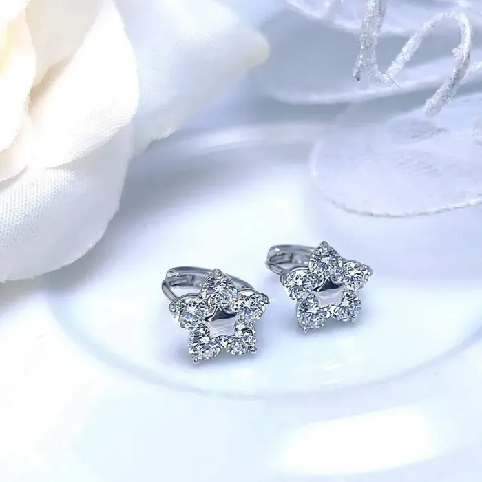 Náušnice La Diamantina Flora se zirokny