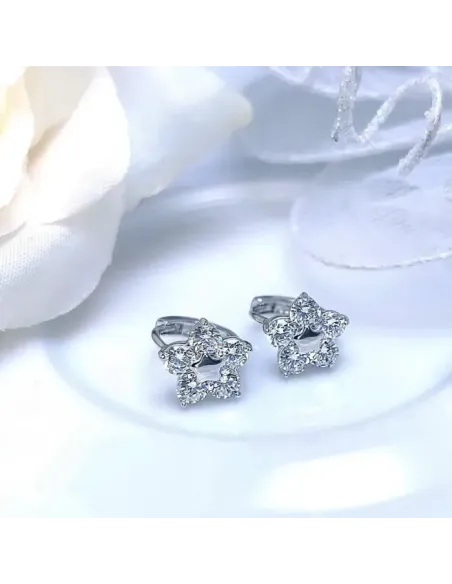 Náušnice La Diamantina Flora se zirokny