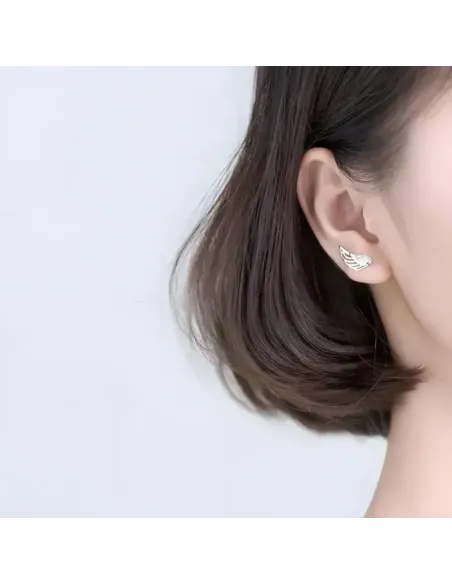 Stříbrné náušnice Charming Angel Wings se zirkony